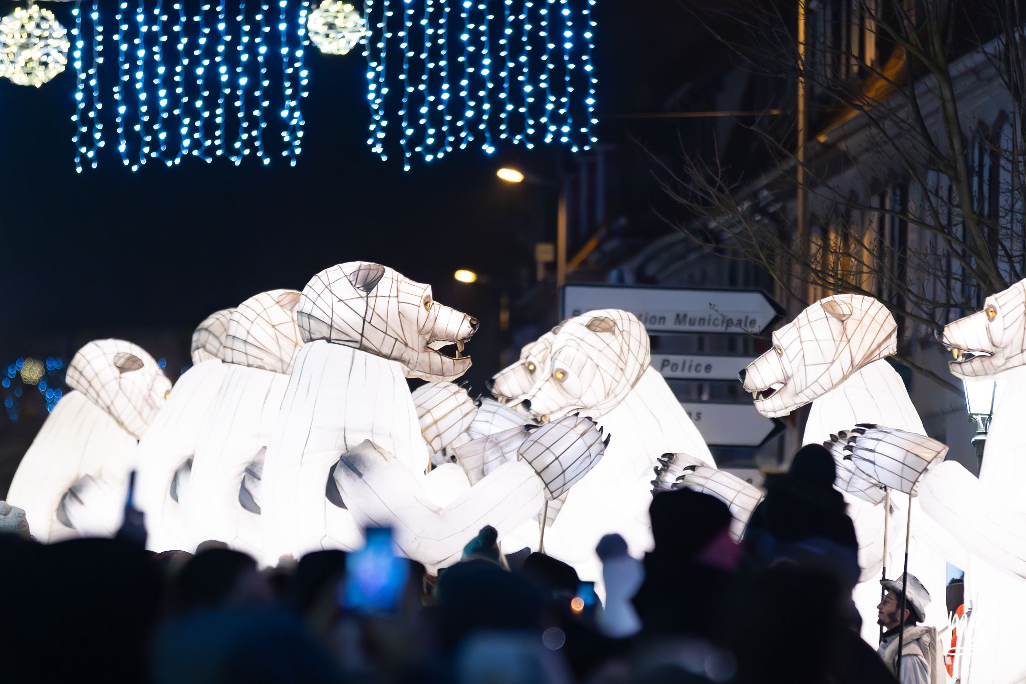 MB2024 CIE REMUE MENAGE(Gueule d'ours) (14 sur 107)